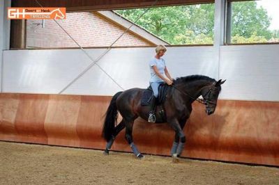 Rijbak binnenbak omheining