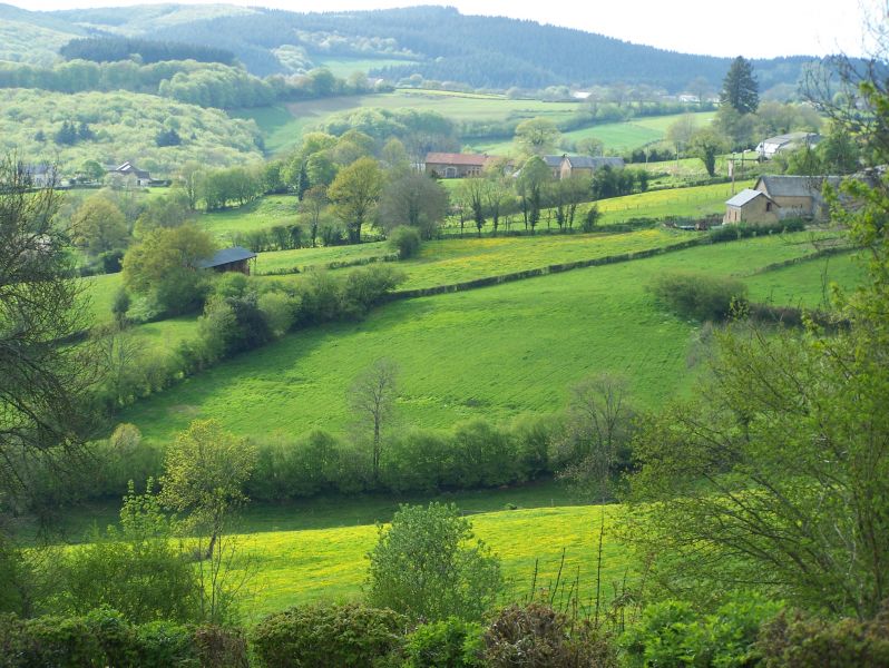 Frankrijk: 4 pers huis in Bourgogne = natuur/rust/cultuur