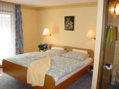 Goedlopend Pension in het Zwarte Woud te koop