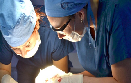 Op haartransplantatie kosten besparen bij de beste haarklinieken