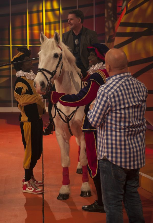 Paard van Sinterklaas te huur