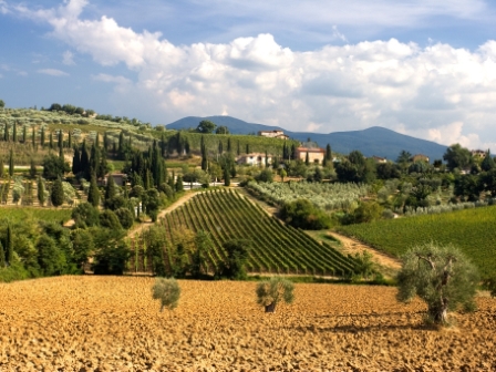 Vakantiehuisjes in het prachtige Toscane