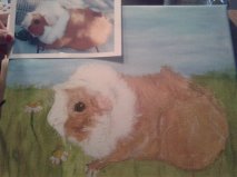 Petpainting by Jamie dieren schilderij tekening hond kat