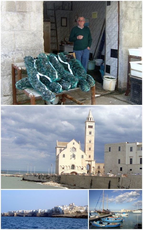 B&B Villa Lavanda logeren bij NL in Puglia (Bari)