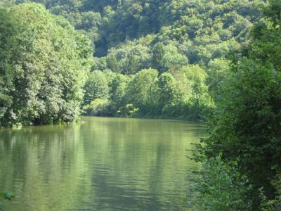 De mooiste vakantiewoningen en bungalowparken in Ardennen en Eifel!