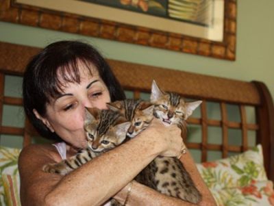 Sweet rasechte Bengaalse kittens op zoek naar nieuw thuis