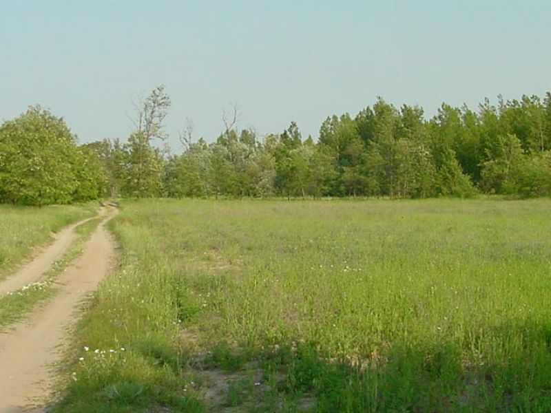 Hongarije Nagykoros op HUURKOOP Tanya midden in de natuur  