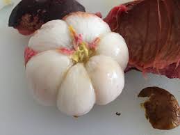 Gezond door Mangosteen