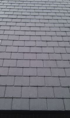 Nieuwe natuurleien te koop