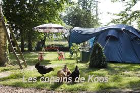 Vakantie met de hond in Frankrijk