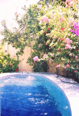 Tropische Strandwoning te Koop in Mexico's Golfkust