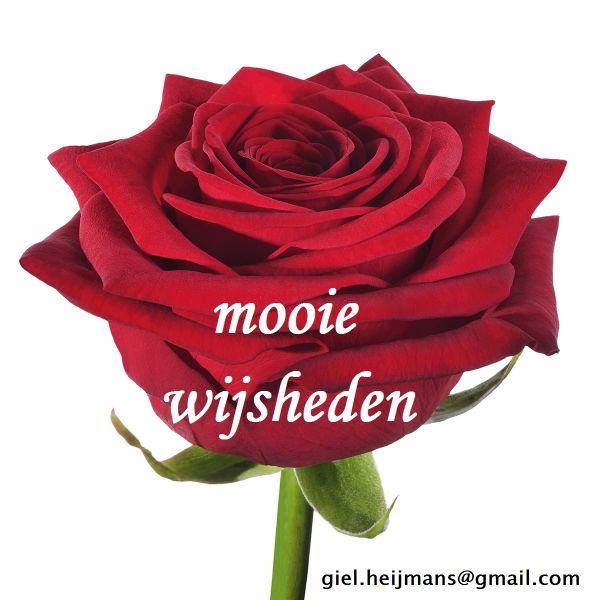 Mooi kado aan jezelf:... levensgedichten