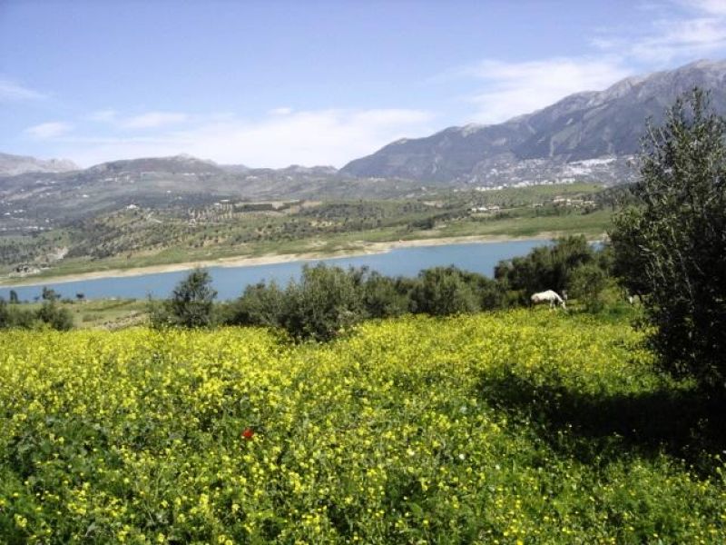 Vakantie appartement te huur Torrox - Costa del Sol