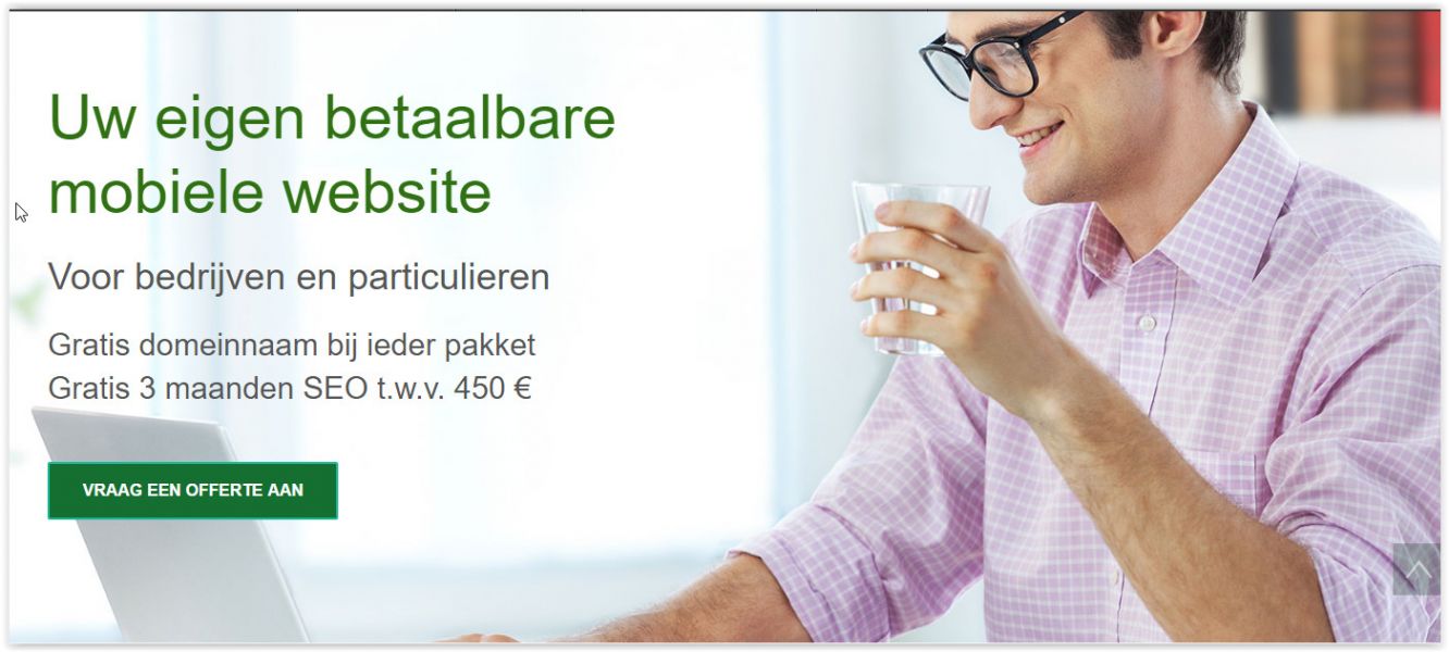 Professionele websites