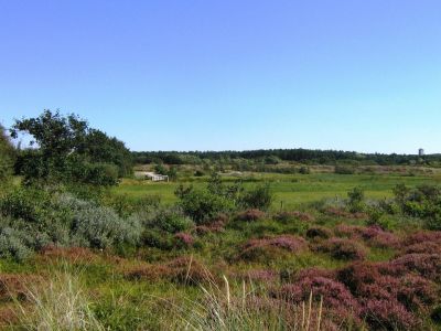 Chalet Te Huur op Terschelling