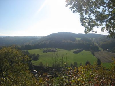 ardennen chalet in Durbuy naast  bos, hond welkom