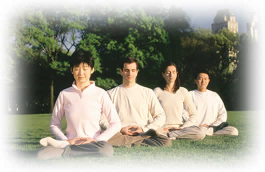 Falun Dafa (Qigong & Meditatie) - Rotterdam