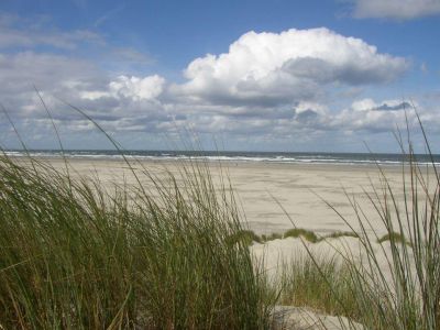 Chalet Te Huur op Terschelling