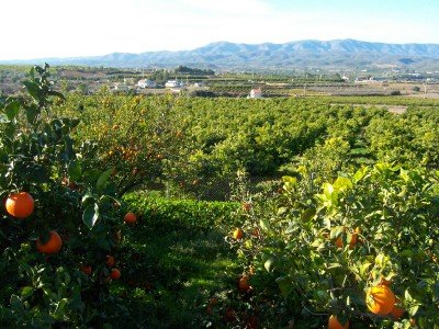 Vakantie Spanje, Valencia
