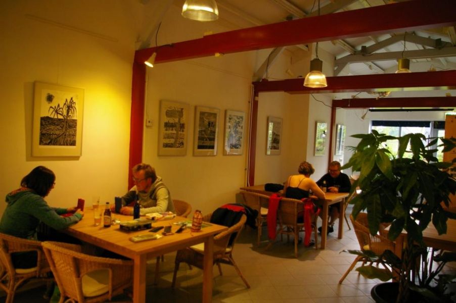 Duurzaam klimaatneutraal kamperen op een klein natuurkampeerterrein in Hooghalen, Drenthe