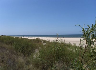 Te huur: 5 persoons luxe chalet nabij Renesse - Zeeland