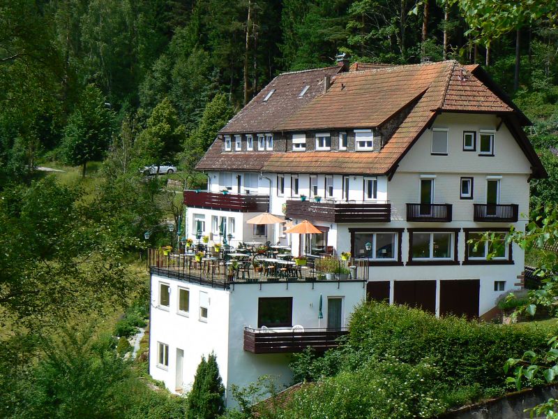 Schitterend gelegen pension-vakantiewoning Zwarte Woud