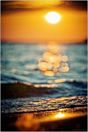 Kroatien-schoenes Haus direkt am Meer, zu verkaufen.