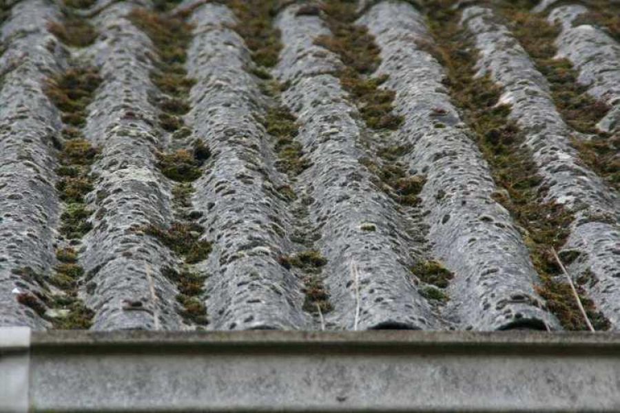 Bouwkundige keuringen en rapportages