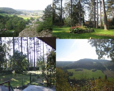 Ardennen vakantiehuis 2-8p te huur, hond welk. naast bos