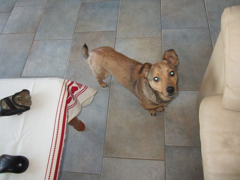 Simon zoekt een eigen mandje