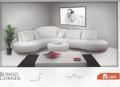 1000m2 showroom met ruime keuze in complete woninginrichting