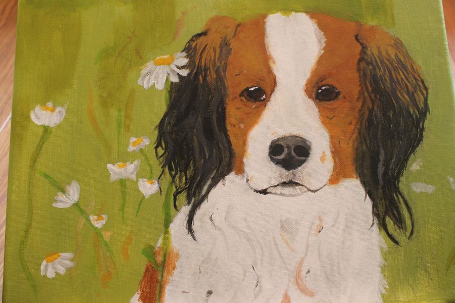 Petpainting by Jamie dieren schilderij tekening hond kat