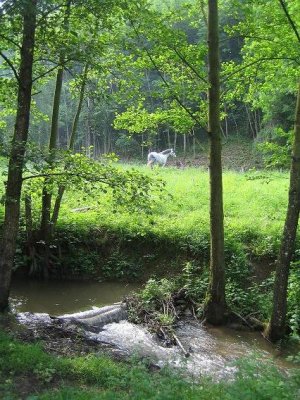 Vakantiewoning DURBUY 15/20 pers met 7 slaapkamers