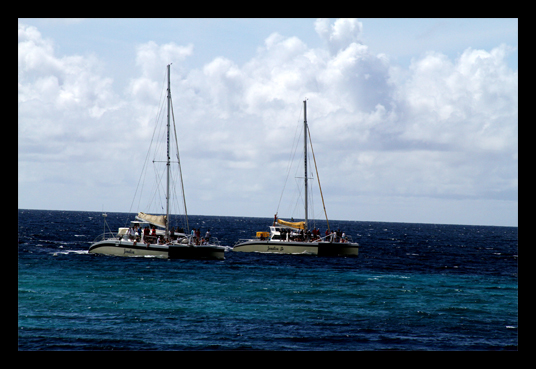 Boek bij Curawex en ontvang 5% korting