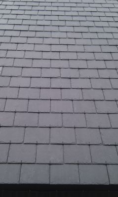 Natuurleien voor dak en gevel