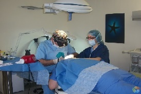 Haarimplantatie aanbieding van de beste klinieken