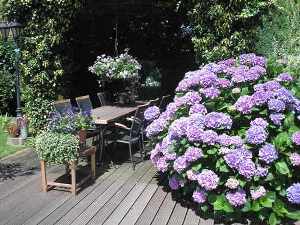 Luxe vakantiewoning met verwarmd privé zwembad