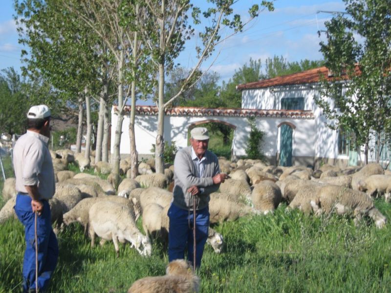 Vakantiehuis Sierra Nevada Spanje