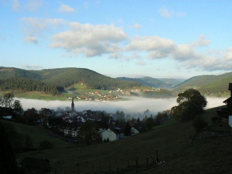 Vakantie Zwarte Woud, Pension Talblick b&b, Duitsland