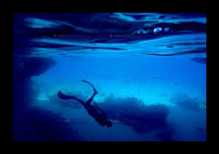 Boek bij Curawex en ontvang 5% korting