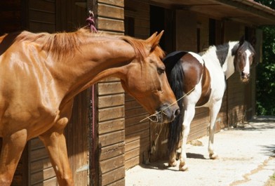 Toscane: Familie vakantie in de natuur