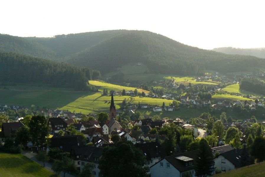 Uniek gelegen Pension Talblick b&b Zwarte Woud