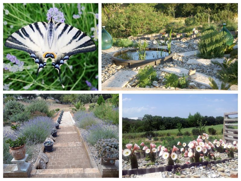 B&B Villa Lavanda logeren bij NL in Puglia (Bari)