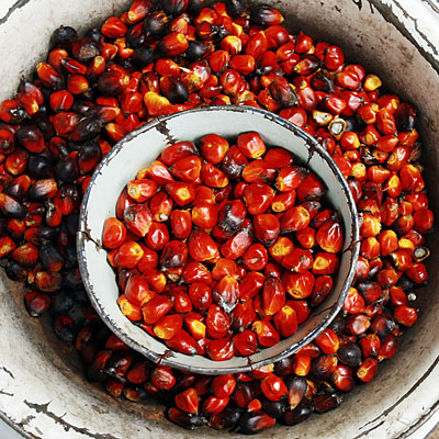 Palmolie,koolzaad,zonnebloem,gebruikte olie geraffineerd en ruwe