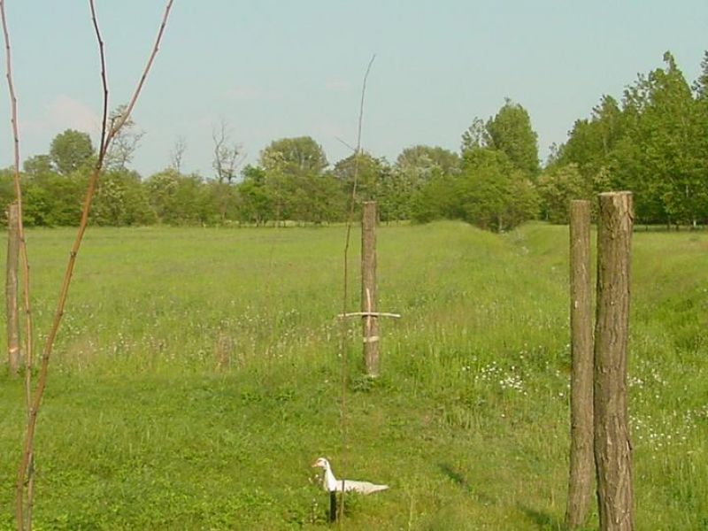Hongarije Nagykoros op HUURKOOP Tanya midden in de natuur  