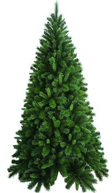 Kerstbomen Kerstboom topkwaliteit 
