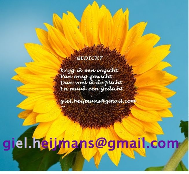 Mooi kado aan jezelf:... levensgedichten