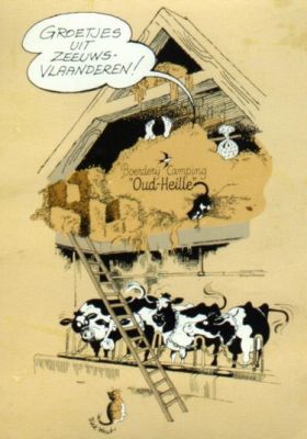 Seizoenplaats op Zeeuwse boerderijcamping Oud-Heille