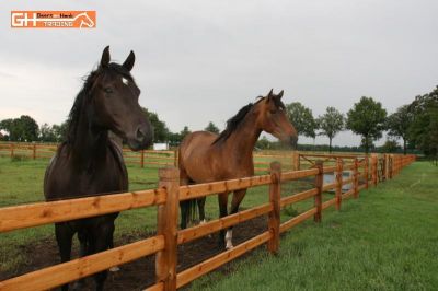 Omheining afrastering hekwerk vanaf €5,50/meter