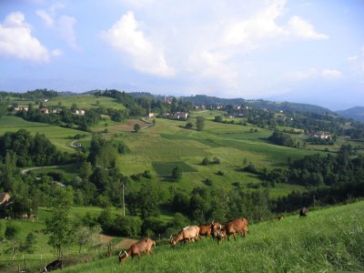 Kampeer in een huurtent in le Langhe, Zuid-Piemonte